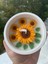 Dekoratif Kasede Güneş Gibi Parlayan %100 Doğal Soya Wax Ayçiçeği Mum 1