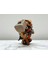 Barbarian (Barbar) - 3D Figür Baykuş - Mysterious Owls- 002 4