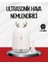 El Tipi USB Mini Soğuk Mist Nemlendirici 220 ML Tank 1