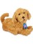 Bfs My Fuzzie Friends Sevimli Labrador Moji 18207 1