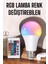 LED Ampul Enerji Dostu Rgb Işıklı 100W LED Işık 2