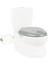 Bfs 07 559 Eğitici Klozet Gri 2