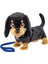 Bfs Animagic Lizzy Yürüyen Köpeğim Corgi 1