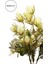 Yapay Dikenli Bitki Yapay Çiçek Krem 35 cm 2