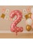 36 cm Pembe Rakam Folyo Balon 1