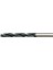 Kalıpçı Matkap Ucu Sds 12X600 ( Lisinya ) 1