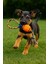 Dayanıklı Halatlı Top Köpek Oyuncağı – Çiğneme ve Getir-Götür Oyunları Için 6