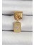 316L Çelik Sallantılı Zirkon Taşlı Kutup Yıldızı Figürlü Dikdörtgen Model Gold Renk Nomination Charm - TJ-BC1406 1