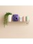 Multi Organizer Raf 3