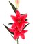 Yapay Çiçek Lilyum Fuşya 90 Cm. 1