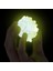 NAT08002 National Geographic Parlayan Kristal Laboratuvarı -Tnggıdcrystal +8 Yaş 3