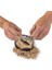 NAT06002 National Geographic Dino Kazı Kiti - Rtngdıno2 +8 Yaş 2