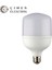 Noas YL95 3001 LED Torch Ampül 30W E27 6500K Beyaz Işık 2
