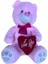 Peluş 50CM Kalpli Ayı Halley 1
