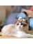 Kedi Otomatik Masaj Cihazı Kedi ve Köpek 3D Kafa Masajı Evcil (5313) 1