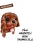 Pilli Oyuncak Köpek , Hareketli , Sesli , Tasmalı , Minik Çanlı Oyuncak Köpek 1