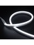 Neon LED Beyaz 5 Metre 1