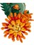 LEGO Icons Krizantem 10368 2
