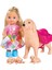 Evi Köpeği ve 3 Yavrusu SMB-105733072 5