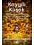 Kaygılı Kuşak 1