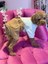 Köpek ve Kedi Için Rahat ve Şık Kahverengi Pantolon Şort, Üst Giyim Tarzında. 2