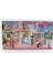 Mattel Barbie Malibu Evi FXG57 1