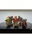 Night Biker (Motorcu) 3D Figür Baykuş - Mysterious Owls - 056 7