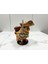 Swashbuckler (Maceracı Korsan) 3D Figür Baykuş - Mysterious Owls - 058 4