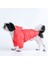 Küçük ve Orta Irk Turuncu Köpek Yağmurluğu, Renkli ve Rahat Giyim Seçeneği 4