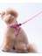 Pembe Papatya Desenli Kedi ve Köpek Gezdirme Tasması, Rahat ve Şık Tasarım 2
