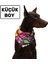 Küçük Boy Desenli Bağcıklı Köpek Fuları Bandana, Siyah, 40 cm 1