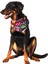 Küçük Boy Desenli Bağcıklı Köpek Fuları Bandana, Siyah, 40 cm 2