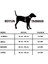 Kırmızı Numaralı Köpek Göğüs ve Boyun Tasması Çiftli Set 4