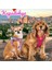 Pembe 2'li Air-Mesh Köpek ve Kedi Göğüs Tasması, Rahat ve Şık Kullanım Sağlar. 1