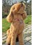 Çok Renkli Ip Halat Kedi Köpek Boyun Tasması Charm Uçlu Gümüş Rengi 2