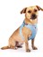 Mavi Köpek Göğüs Tasması, Hafif ve Rahat Tasarım, Air Mesh Malzeme 5