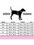 Kişiye Özel Kırmızı Köpek Göğüs Tasması ve Gezdirme Halatı Seti 4