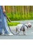 Renkli Çiçek Desenli, Neopren Süngerli, Mavi Köpek Tasması, Konforlu ve Şık Tasarım 3