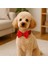 Ayarlanabilir Kedi ve Köpek Papyonu, Kırmızı, L Beden, Şık ve Rahat Kullanım 2