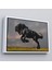 Çerçeveli Şaha Kalkmış Siyah At TABLOSU-6620 4