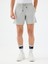 Regular Fit Erkek Şort 2