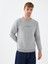 Regular Fit Erkek Sweatshirt 1