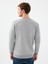 Regular Fit Erkek Sweatshirt 3