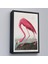 Çerçeveli John James Audubon - Amerikan Flamingo TABLOSU-7301 4