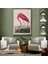 Çerçeveli John James Audubon - Amerikan Flamingo TABLOSU-7301 6