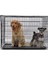 Iki Kapılı Metal Köpek Kafesi, 122X76X84 Cm, Beyaz, Dayanıklı ve Pratik Kullanım 2