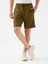 Regular Fit Erkek Şort 1