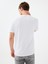 Regular Fit Erkek Tshirt K.kol 3
