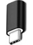 ZR350 FT-ADA23 Lightning To Type-C Çevirici Mini Adaptör 1