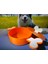 Kapaklı, Renkli, Kemik Şekilli Köpek Maması Kabı, 500 Ml, Şık ve Kullanışlı 3